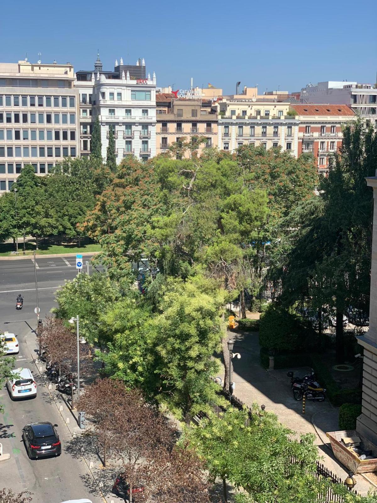 Luxury Studio Retiro Park & Prado Museum Madrid Exterior photo